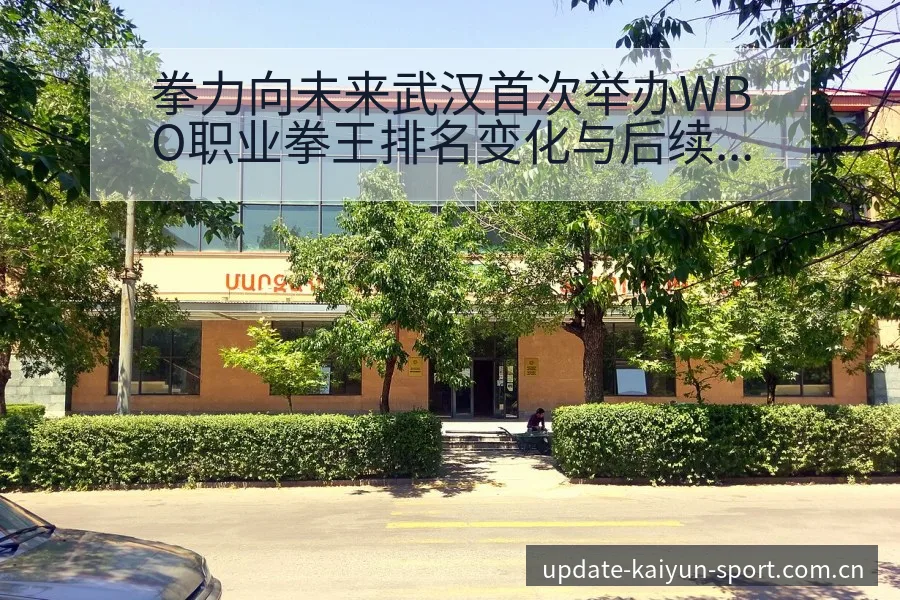 拳力向未来武汉首次举办WBO职业拳王排名变化与后续走势风 - 开云